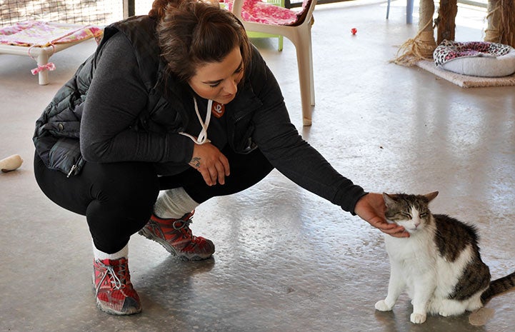 Volunteer Ines Lopes giving some love in Cat World