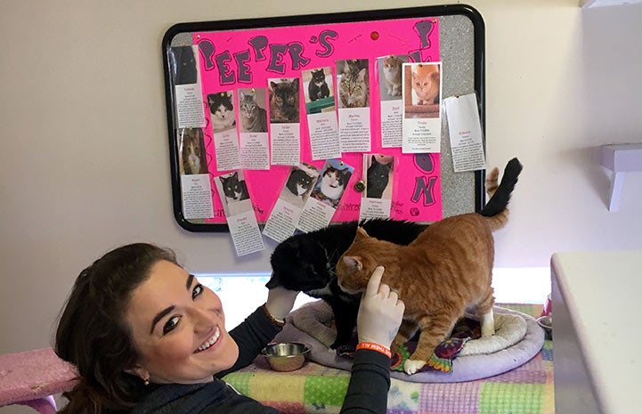 Ines Lopes volunteering at Cat World