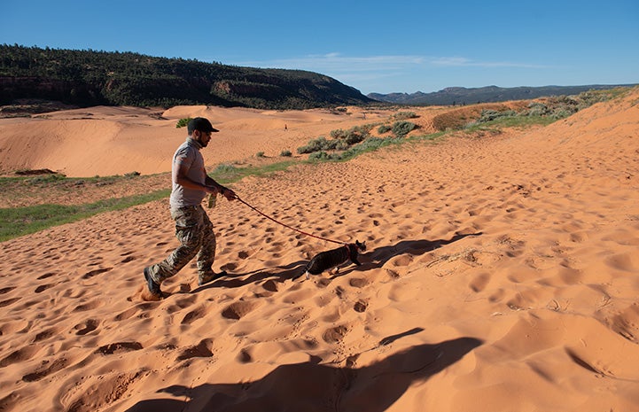 A person walking Tigger the cat on a harness and leash on a sand dune