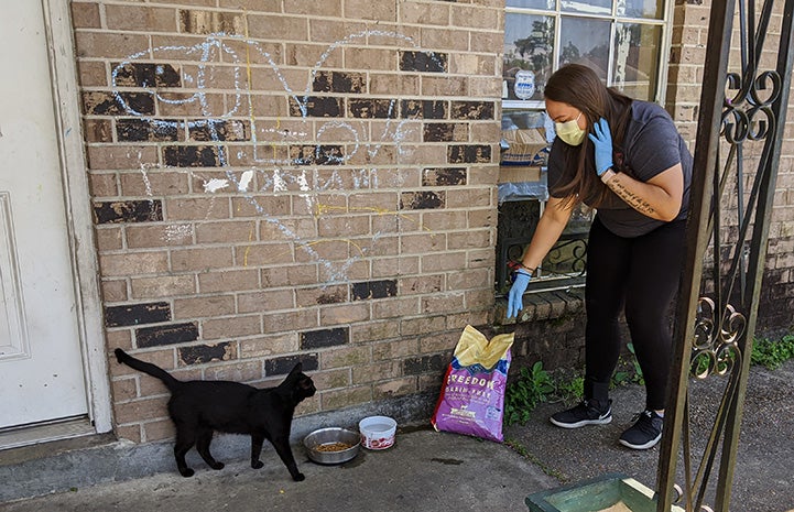 Woman wearing a mask bringing pet food to a black cat