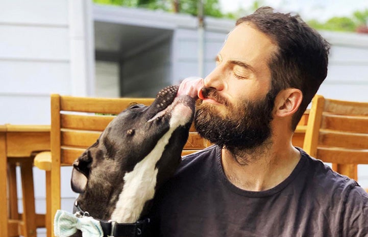 Patrick the dog licking the face of a bearded man