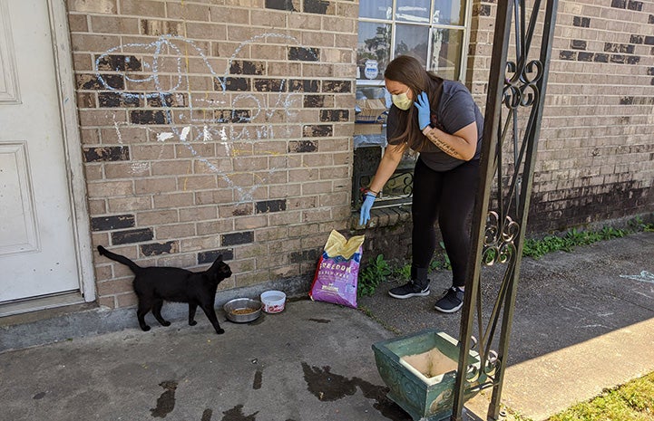 Woman delivering a bag of food onto a porch while a cat looks on