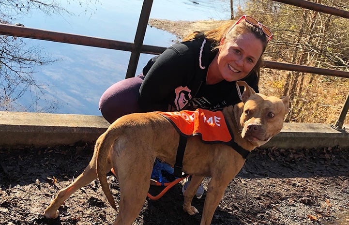 Polly Pocket the tan dog wearing an Adopt Me vest while taking a rest from a jog