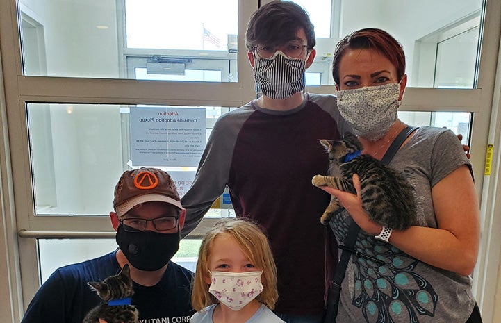 Family adopting to tabby kittens from Animal Protective Association of Missouri