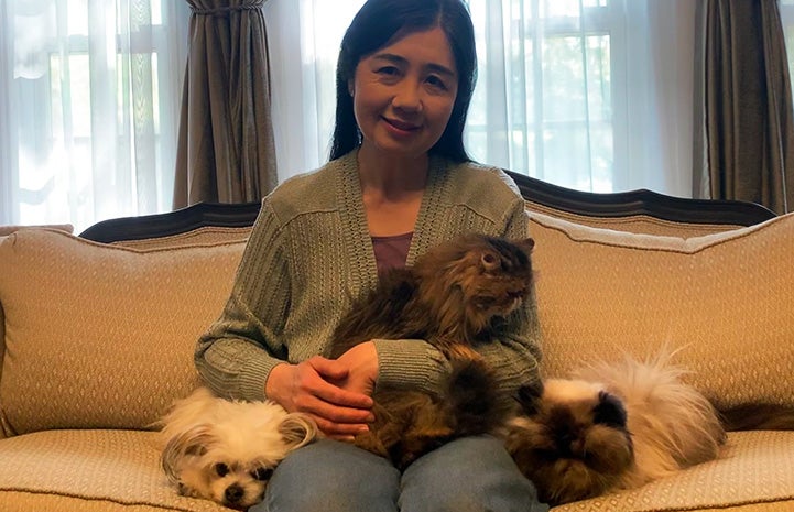 Kyoko Bruguera sitting on a couch with her two pet cats and dog