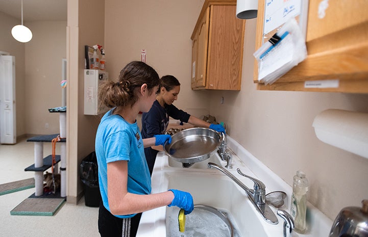 Lily Grouf and her mom washing dishes as they volunteer at Cat World