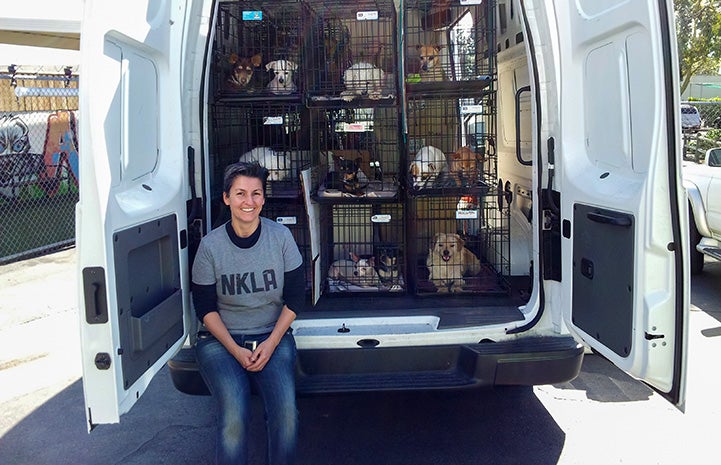Andrea Kraus standing in front of a transport van full of dogs