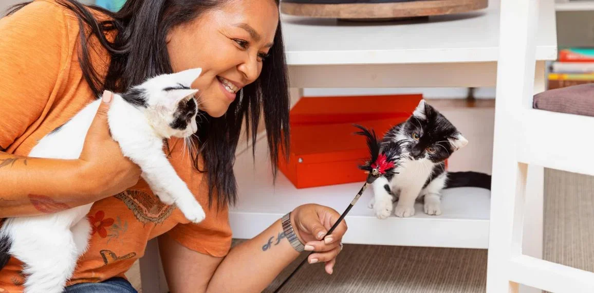 Smiling person playing with kittens in a living room