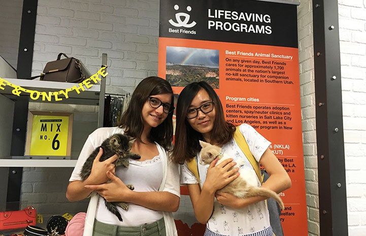 Isabelle Li and Sarah Yehuda with kittens Audi and Bentley