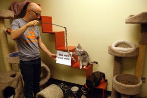Moby plays with a cat at Best Friends Pet Adoption and Spay/Neuter Center in Los Angeles