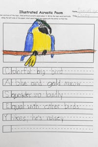 The animals inspire writing and drawings