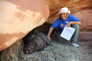 Stacy Holtz visiting one of the Sanctuary's pigs