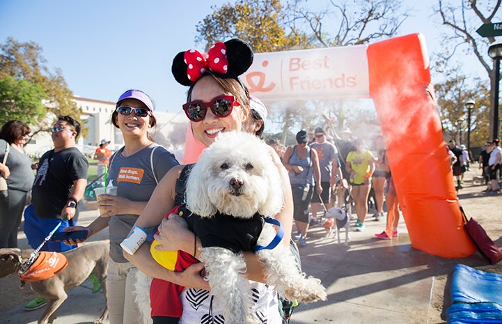 Strut Your Mutt, small white dog being held by person in Minnie Mouse ears
