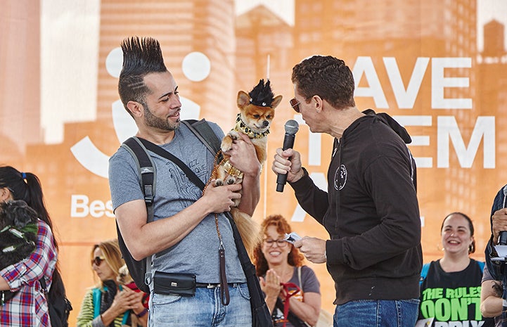 Person and dog wearing mohawk hairdos at Strut Your Mutt
