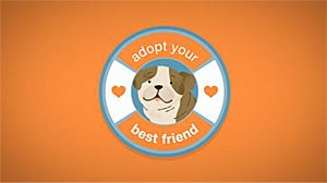 Adopt your best friend