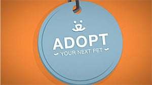 Adopt Your Next Pet