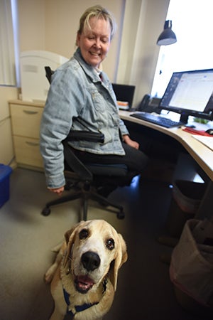Gus the beagle loves to spend time as an office dog