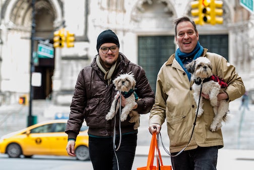Couple carrying their two small dogs and walking