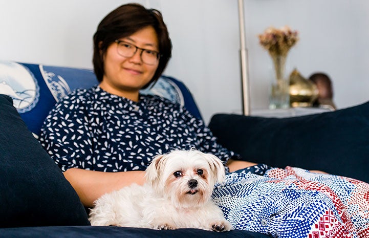 Adopting Happy the Maltese was a way to honor Ting Liu's childhood pet