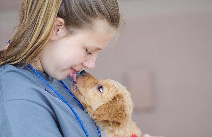 Puppy giving a little girl kisses