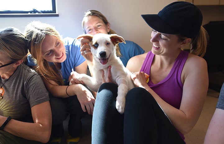 Puppy being held and loved on by group of women
