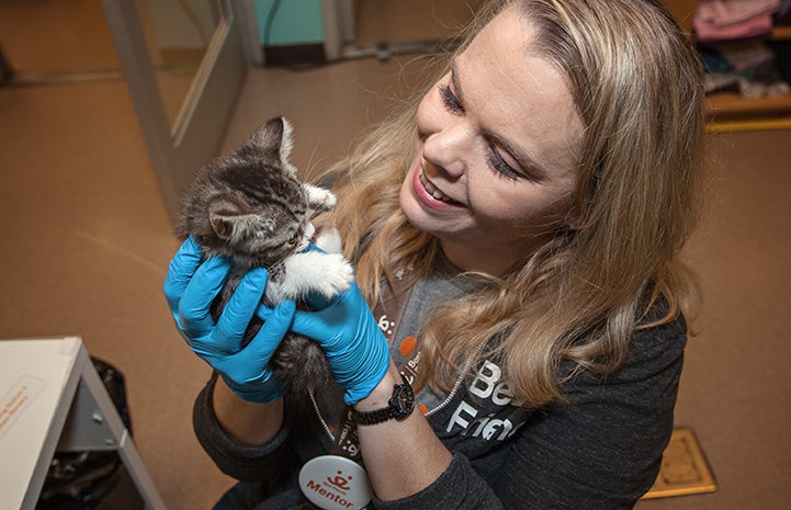 Volunteer Heather Ramsey holding a tabby kitten
