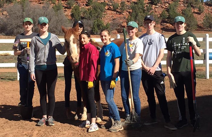 The Concord Academy student volunteers helping at Horse Haven
