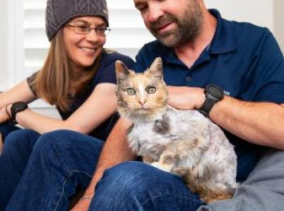 Two people sitting with a cat in a comfortable living room