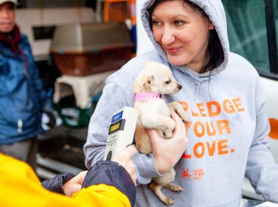 Transport volunteer holding a tiny puppy in front of a van with pet carriers