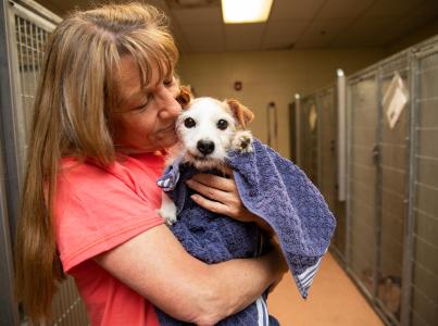Person holding a small dog in a towel in an area between kennels