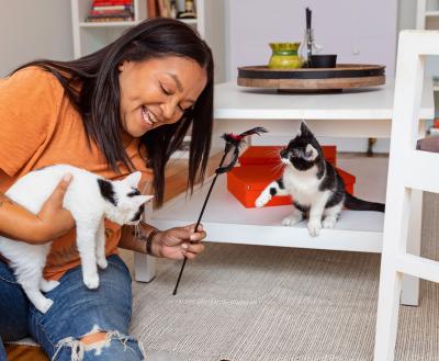 Smiling person playing with two kittens on the floor of a living room
