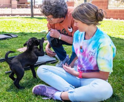 Two volunteers playing with a puppy in a grassy area