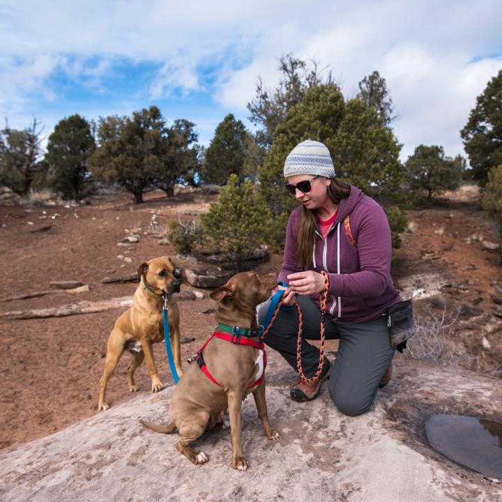 Person hiking with dogs in Utah desert
