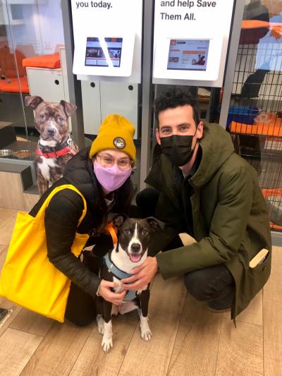 Two masked people adopting Stormy the dog
