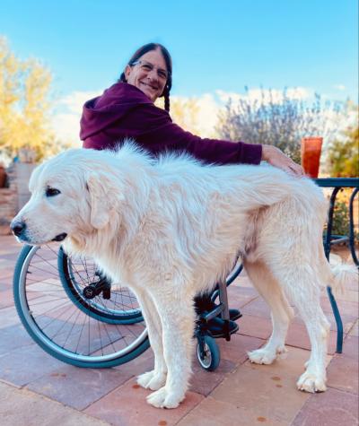 Person in a wheelchair petting Felix the great Pyrenees dog