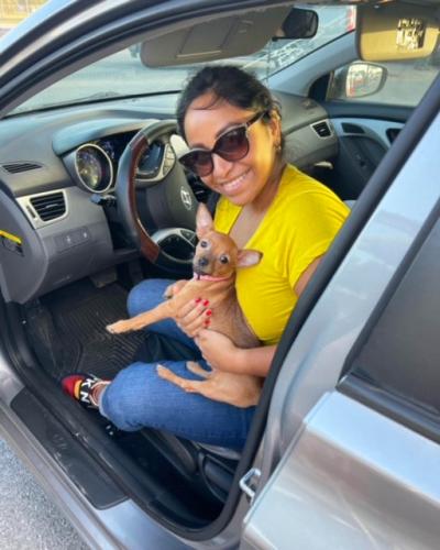 Smiling person holding a brown Chihuahua in a car
