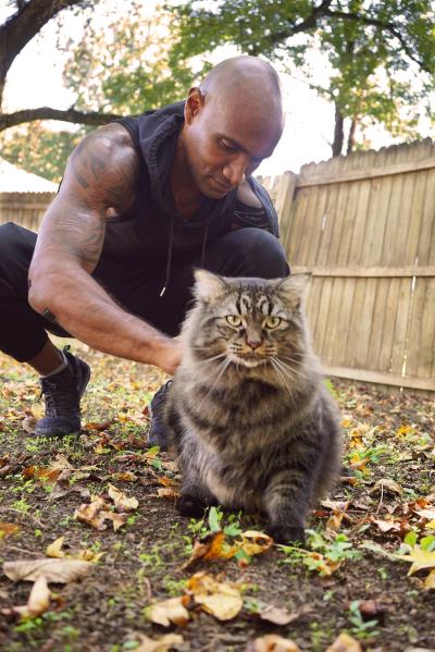 Stuntman Ryan Robertson loves spending time with his 25 lb cat Toodles when he is not working on Hollywood movies in Atlanta, GA