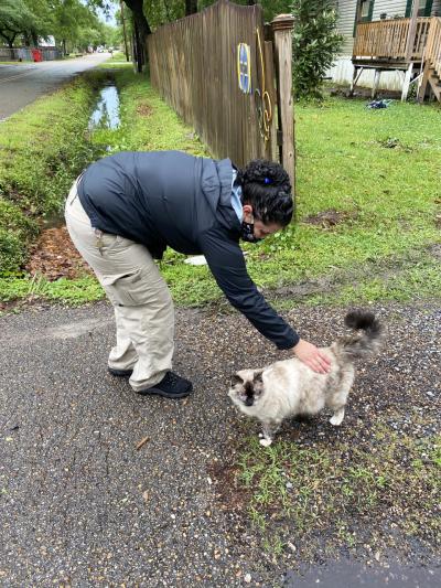 Person bending over to pet a community cat