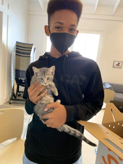 Young person wearing a mask and holding a gray tabby kitten at the National Adoption Weekend
