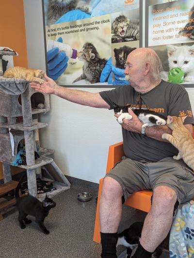 Volunteer Steve Pak holding a kitten, reaching out to pet another, with a third on his lap, and a fourth on the ground