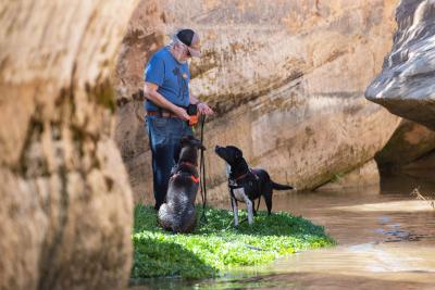 Volunteer Dan Fishbein outside with a black dog next to a creek beside some rock formations