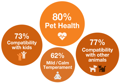 Considerations for choosing a pet graphic