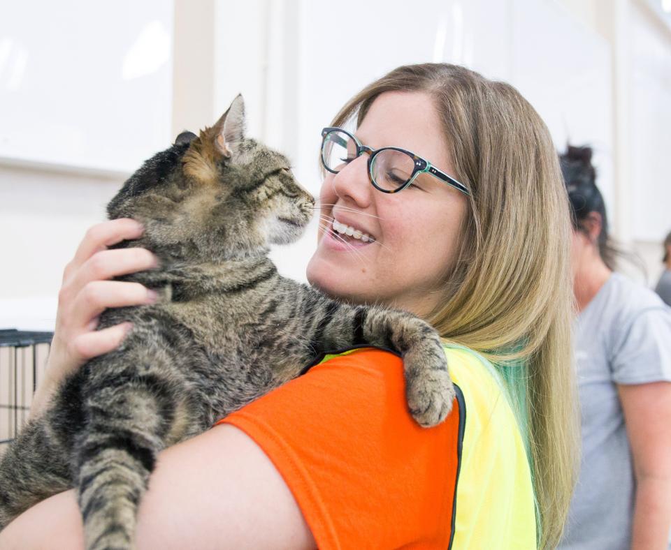 Person wearing Best Friends orange T-shirt holding a brown tabby cat at an adoption event