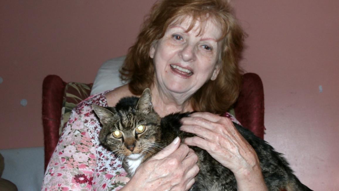 Senior-tabby-cat-adoption-Utah-Hemi-Marcia.jpg