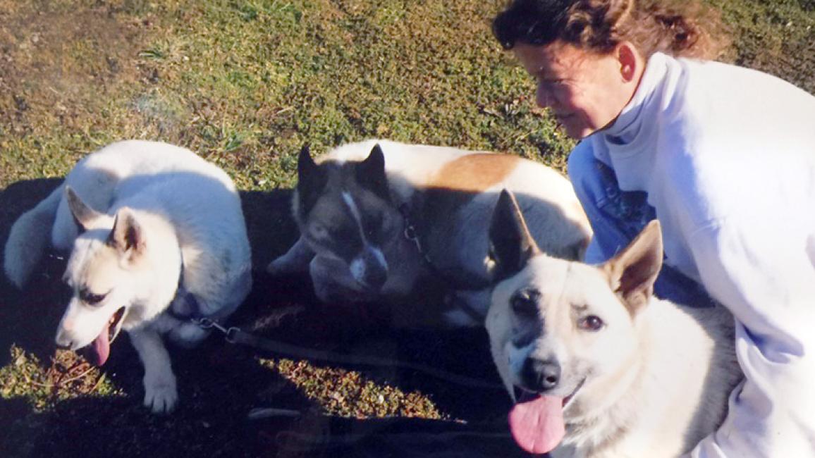 Feral-shepherd-dog-Riva-Rianna-Rissa-with-volunteer-courtesy-Lindsay-Hutton--2.jpg