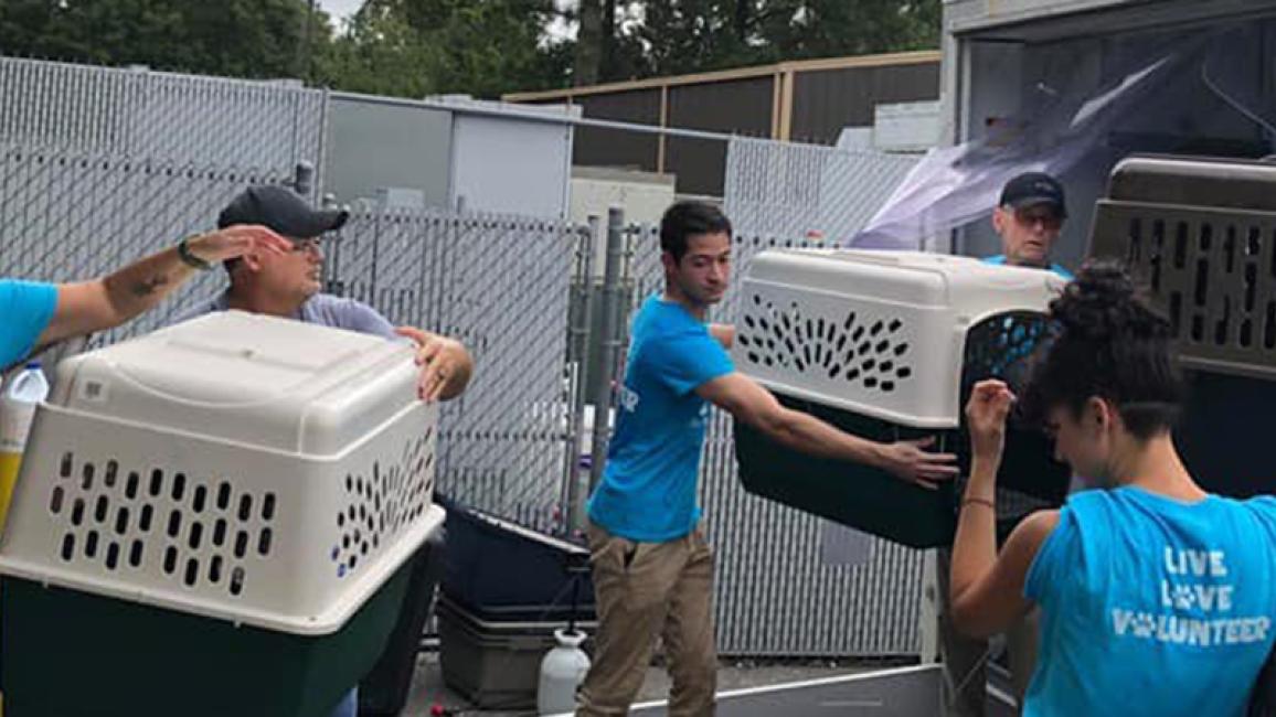 Hurricane-Dorian-WRAP-UP-people-loading-crates-courtesy-Charleston-Animal-Society.jpg