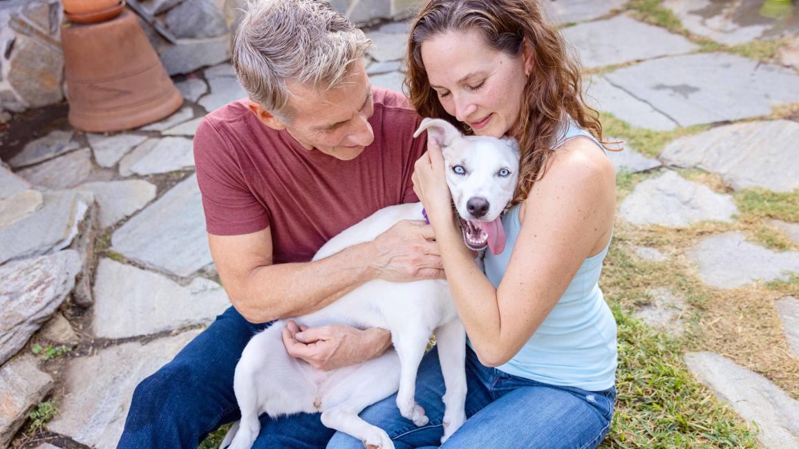 A couple hugging and petting a small white dog whose tongue is out