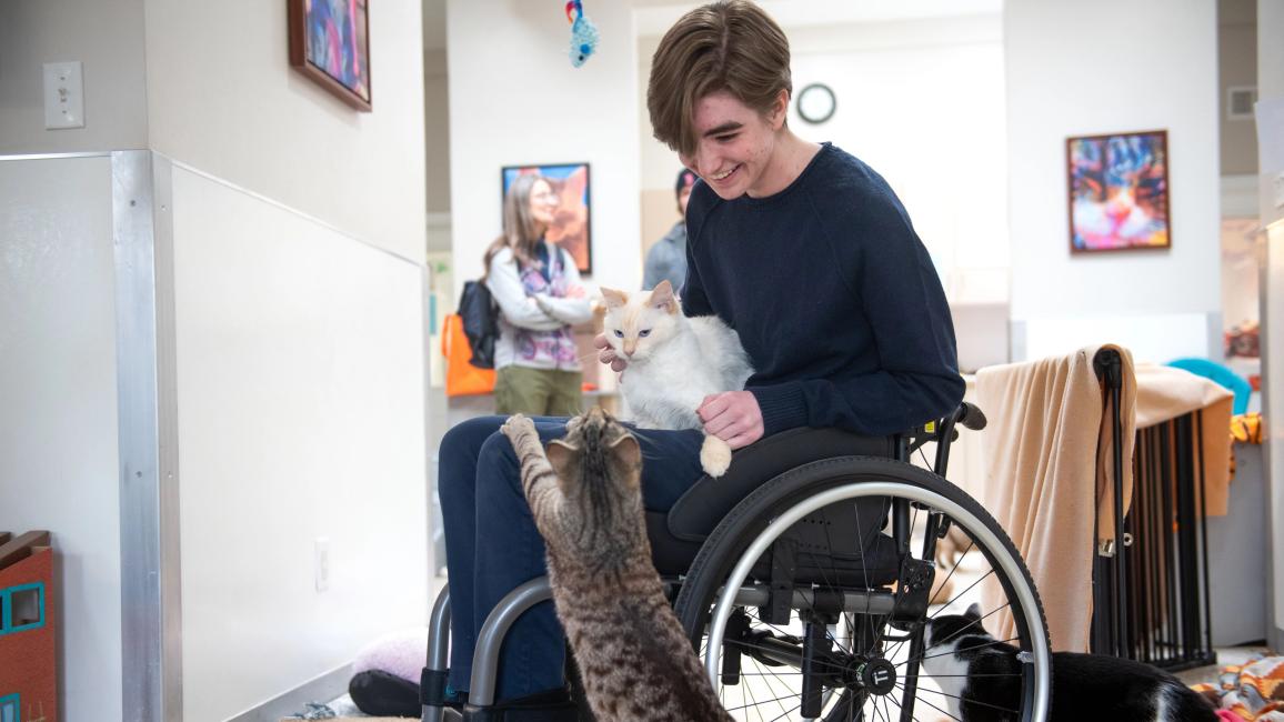 Sébastien in a wheelchair with Theophiel the cat in his lap and another cat stretching up to them