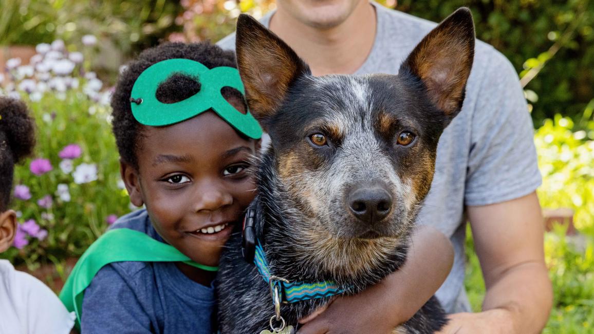 Child wearing a green superhero mask and cape hugging a heeler type dog