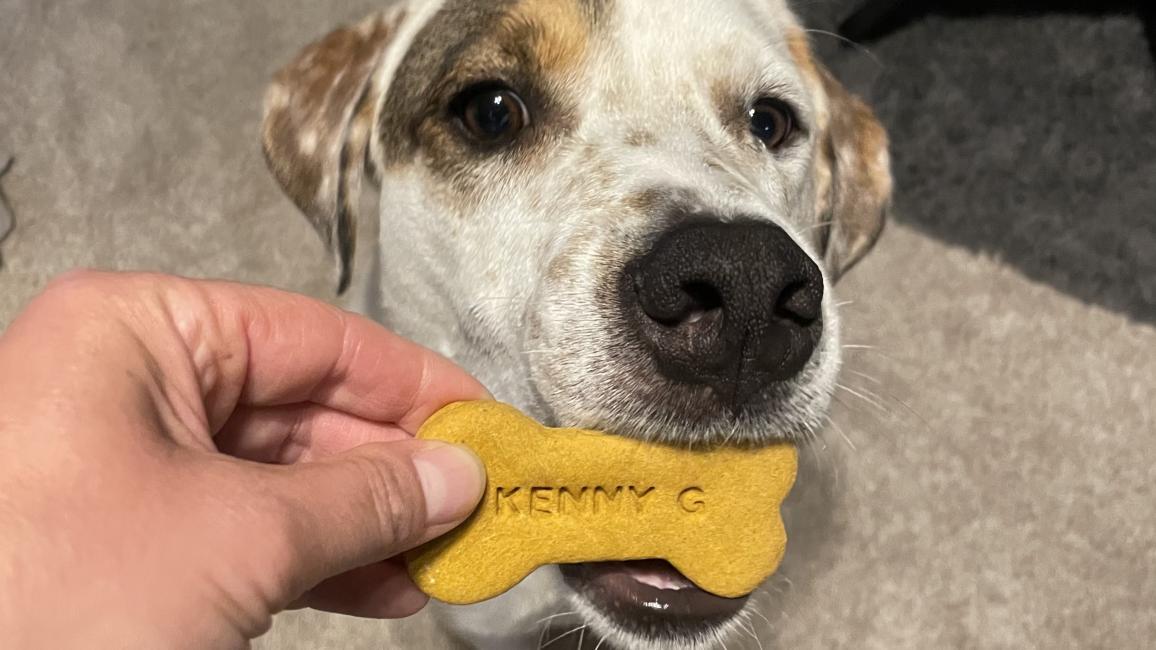 Person's hand giving a dog biscuit to Ken Garff the dog